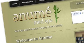 anume-med-spa-web-design-devon-bay12-design